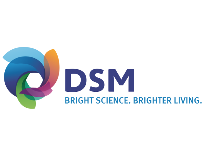 DSM Engineering Plastics B.V. logo