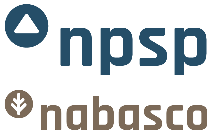 NPSP BV logo